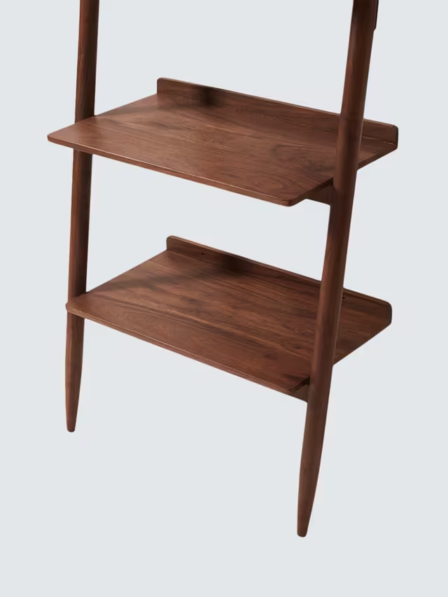 Riva Ladder Bookshelf