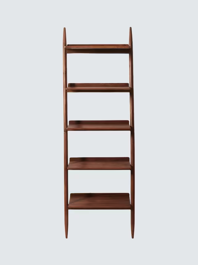 Riva Ladder Bookshelf