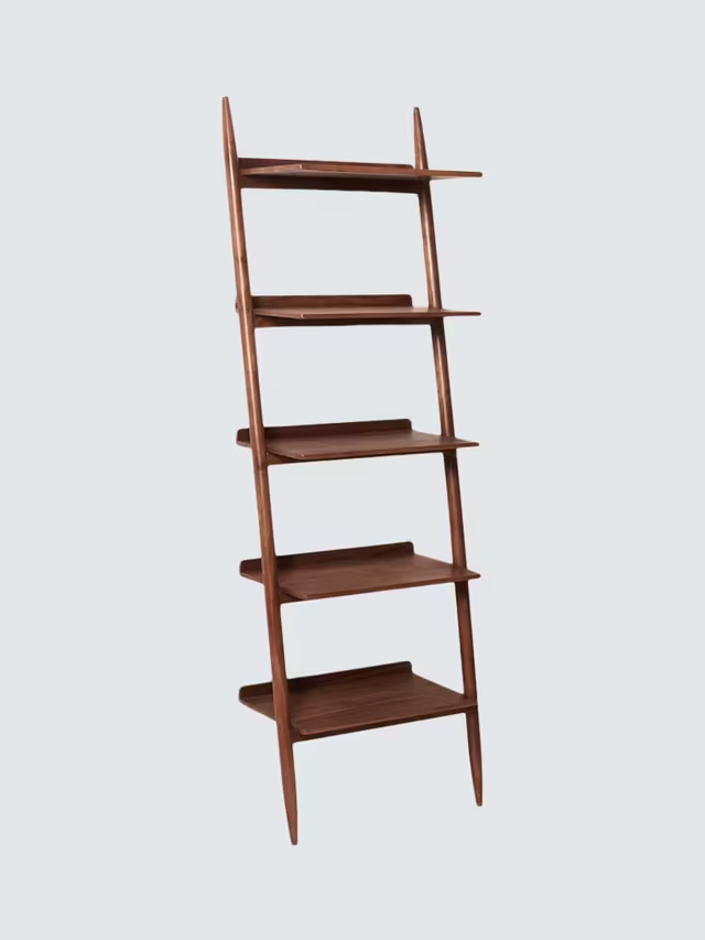 Riva Ladder Bookshelf — alternate view